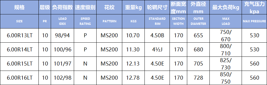 MS200(Figura1) MS200(Figura1)