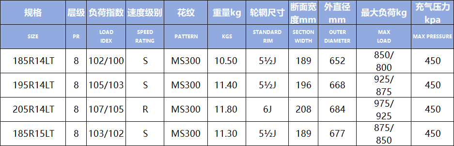 MS300(图1)